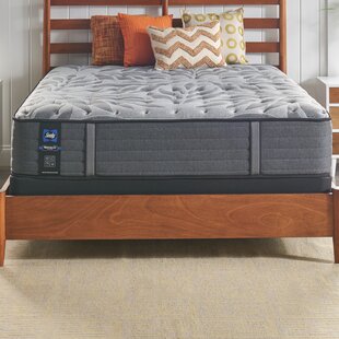 Sealy diego deals mattress